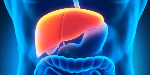 Karaciğer hastalıklarında ultrason &ouml;nemli